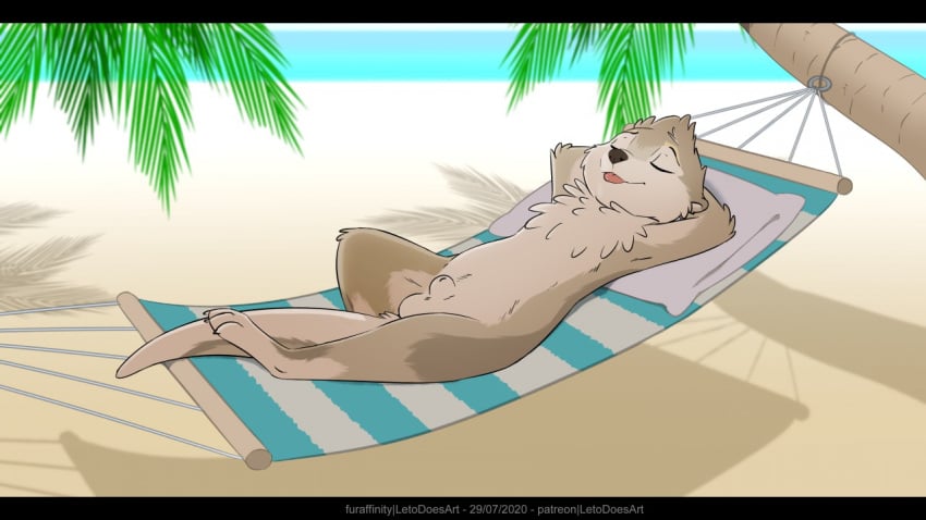 16:9 animal_genitalia anthro balls beach black_bars brown_body brown_fur danzer fur genitals hammock letodoesart letterbox lutrine male mammal mustelid nude sand seaside sheath solo widescreen