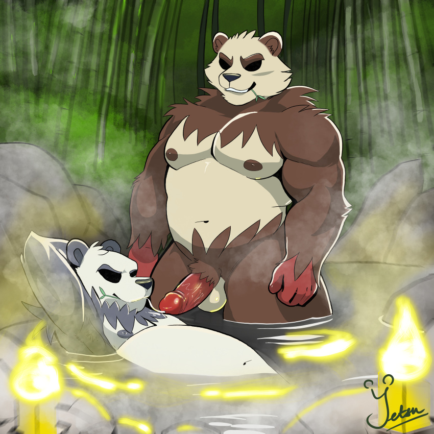 2024 2boys absurd_res anthro ass balls bamboo bamboo_forest bamboo_stick bamboo_tree bara bear belly big_butt blush bodily_fluids brown_body brown_fur cum cum_in_mouth cum_inside digital_media_(artwork) duo ejaculation erection fat fat_man foreskin forest fur gay generation_6_pokemon genital_fluids genitals giant_panda hi_res hot_spring humanoid_genitalia humanoid_penis imminent_sex male male/male male_only mammal multiple_boys musclegut muscular muscular_male nintendo nipples nude pangoro pecs penis plant pokemon pokemon_(species) retracted rock shiny_pokemon smile steam sweat thick_thighs tree water wet yetsu