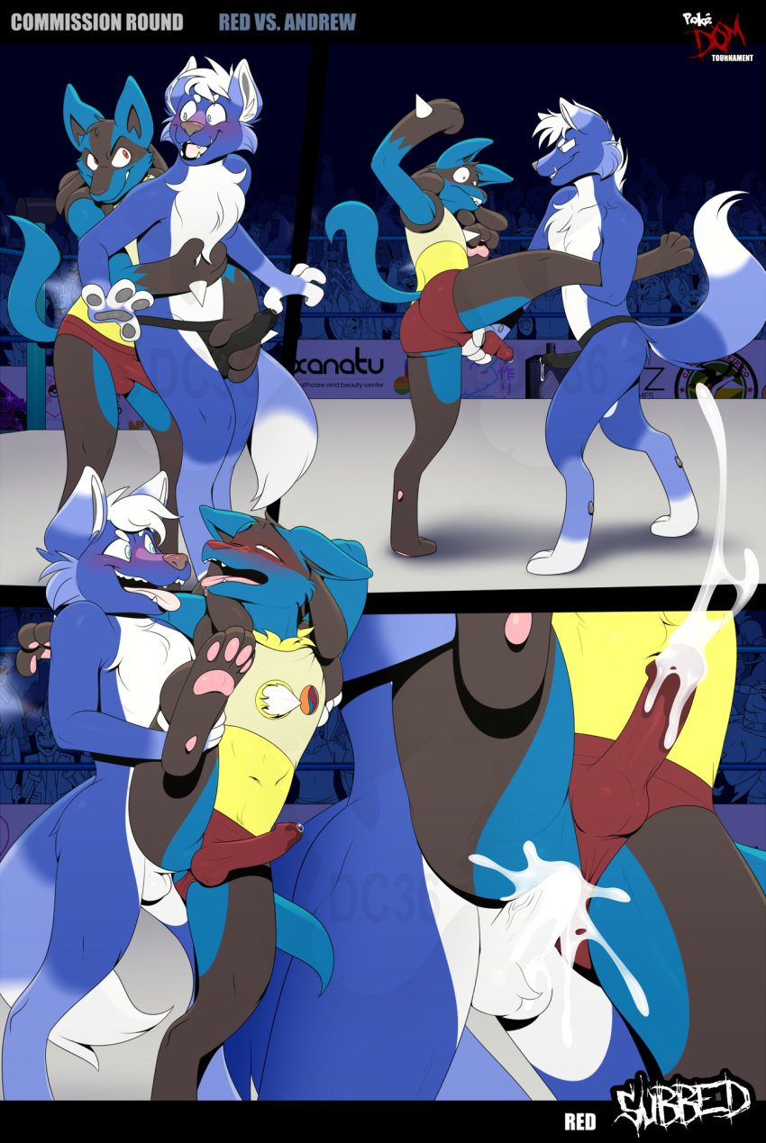 2020 anal anal_sex anthro anthro_on_anthro anthro_penetrated anthro_penetrating anthro_penetrating_anthro anthrofied audience being_watched black_body black_fur black_nose blue_body blue_clothing blue_eyes blue_fur blue_underwear blush bodily_fluids braixen bulge_grab canid canine canis clothed clothing clothing_aside comic commission_art competition crop_top crowd cum cum_in_ass cum_inside cum_through_clothing dipstick_ears dipstick_tail dragonclaw36 duo eeveelution ejaculation erection erection_under_clothing exhibitionism facial_markings fluffy fluffy_tail flygon from_behind_position fur furgonomics gabite gay gay_sex genital_fluids genitals girafarig giraffid greninja group hair hands-free head_markings hi_res hug hugging_from_behind hydreigon jackal leg_grab looking_at_another looking_pleasured lucario lycanroc male male/male male_only male_penetrated male_penetrating male_penetrating_male mammal markings mask_(marking) midnight_lycanroc multicolored_body multicolored_ears multicolored_fur multicolored_tail nintendo penetration penile penile_penetration penis penis_grab penis_in_ass pink_nose pokemon pokemon_(species) raised_leg red_clothing red_eyes red_underwear scrafty sex sexfight sexual_competition shirt smeargle spandex standing standing_sex sylveon tan_body tan_fur tight_clothing tongue tongue_out topwear two_tone_body two_tone_ears two_tone_fur underwear underwear_aside video_games watermark wet wet_clothing white_body white_ears white_fur white_hair white_tongue wolf wrestling