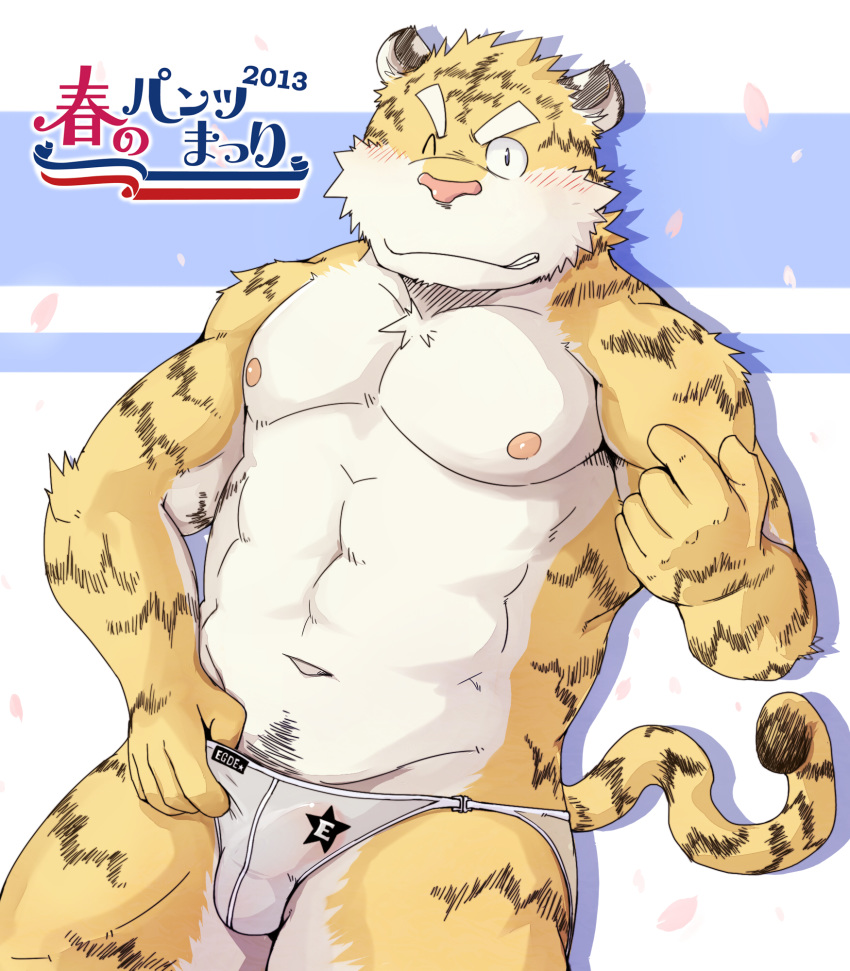 2013 anthro balls_outline barazoku blush bulge clothing felid genital_outline hi_res humanoid_hands kemono male male_only mammal muscular muscular_anthro muscular_male nipples one_eye_closed pantherine penis_outline shiike999 solo tiger underwear underwear_festival wink