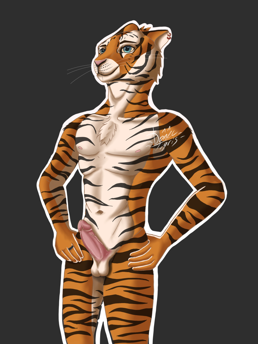 absurd_res anthro blue_eyes donec_tigris felid genitals hi_res jason_tigris male male/male mammal nude pantherine penis piercing solo tiger