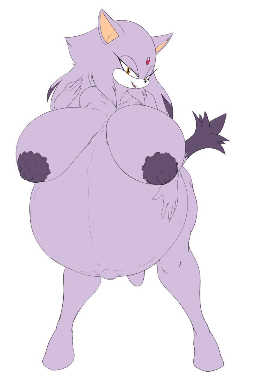 2:3 anthro big_breasts blaze_the_cat breasts domestic_cat felid feline felis female forehead_gem gem hi_res huge_breasts hyper hyper_pregnancy looking_at_viewer mammal nipples nude pregnant pregnant_anthro pregnant_female raccoonshinobi sega simple_background solo sonic_(series) sonic_the_hedgehog_(series) thick_thighs white_background wide_hips
