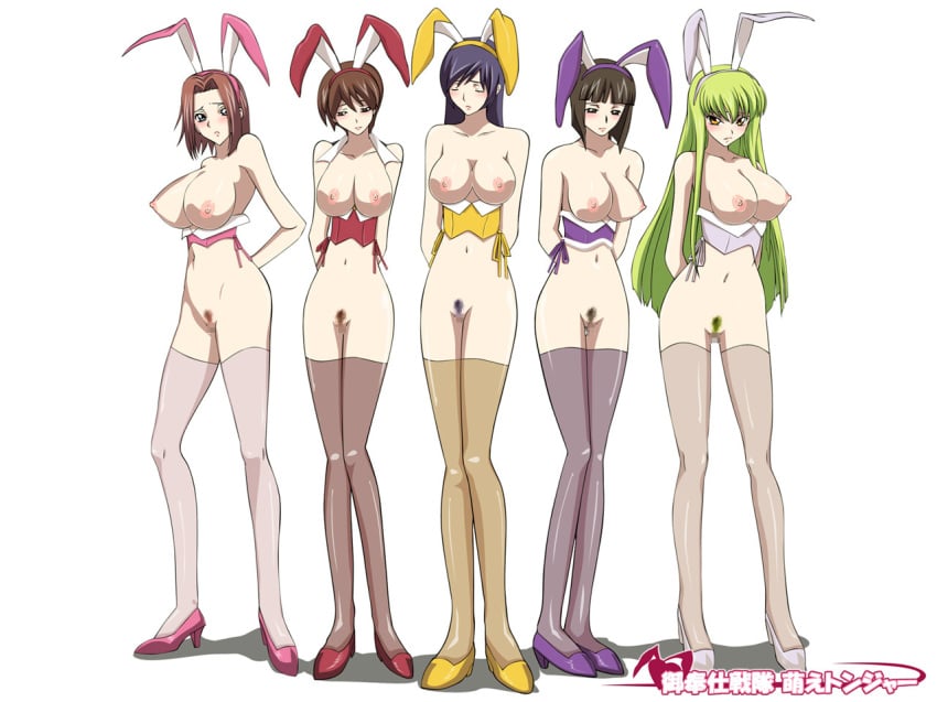 animal_ear arms_behind_back black_hair blue_eyes blue_hair breasts brown_hair bunny_ear c.c. censored chiba_nagisa closed_eyes code_geass corset everyone female female_only green_hair high_heels huge_breasts inoue kallen_stadtfeld large_breasts legs lineup long_hair multiple_girls naomi_inoue navel nipples pubic_hair pussy shoes short_hair slave stockings sunrise_(studio) take_your_pick thighhighs yellow_eyes