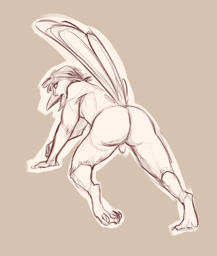 anthro ass avian bird embarrassed exposing feathers furry genitals hi_res male male_only nyxapnea penis shy sketch solo tagme tail_feathers tapering_penis