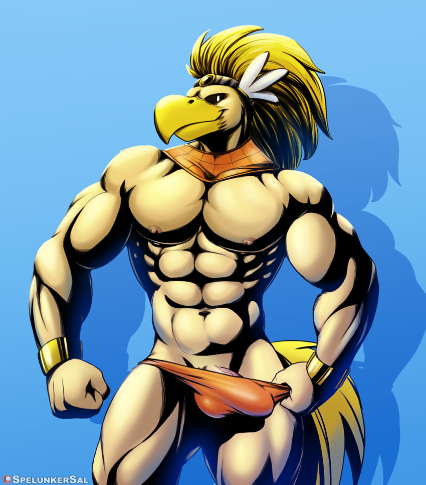 1boy 2020 abs anthro avian bara blue_background bulge clothing genitals hi_res looking_at_viewer male male_only mario_(series) muscular muscular_male navel nintendo paper_mario pecs penis rawk_hawk simple_background smile spelunker_sal underwear video_games