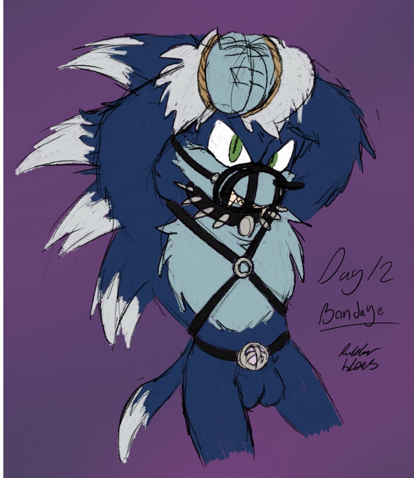 anthro chastity_cage chastity_device collar eulipotyphlan harness hedgehog hi_res leather leather_harness male male_only mammal muzzle_(object) rope rubberh0es_(artist) sega solo sonic_(series) sonic_the_hedgehog sonic_the_hedgehog_(series) sonic_the_werehog sonic_unleashed spiked_collar spikes werecreature wereeulipotyphlan