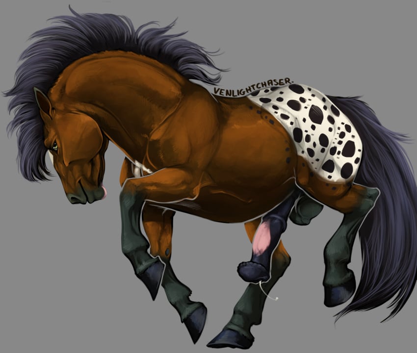 anatomically_correct anatomically_correct_genitalia anatomically_correct_penis animal_genitalia animal_penis appaloosa artist_name balls black_body black_fur black_hooves black_mane black_penis black_spots black_tail bodily_fluids brown_body brown_fur digital_media_(artwork) digital_painting_(artwork) dipstick_ears dripping ear_markings english_text epididymis equid equine equine_balls equine_genitalia equine_penis erection feral flared_penis fur fuzimir_(character) genital_fluids genitals green_eyes grey_background grey_balls grey_body grey_fur hi_res hooves horse leaking_precum leg_markings looking_at_viewer male mammal mane markings medial_ring mottled mottled_genitalia mottled_penis multicolored_body multicolored_ears multicolored_fur multicolored_penis penis pink_penis precum precum_drip precum_string quadruped raised_leg running side_view signature simple_background smile socks_(marking) solo spots spotted_body spotted_fur spotted_markings tail text two_tone_penis venlightchaser white_body white_fur