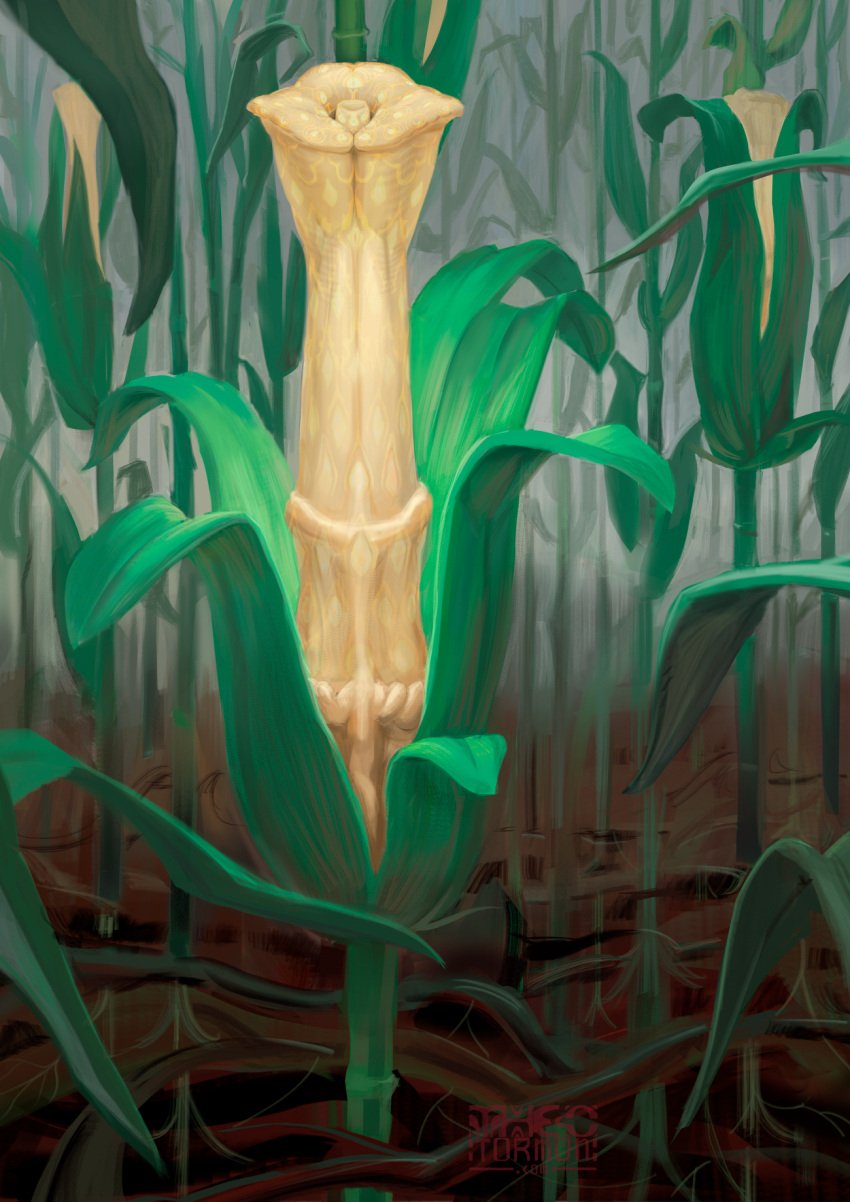 animal_genitalia animal_penis corn equine_genitalia equine_penis field food genitals hi_res humor leaf penis plant