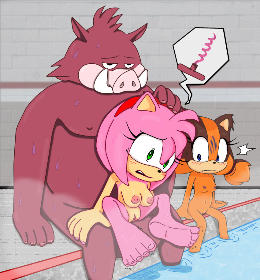 amy_rose anatomically_correct anatomically_correct_genitalia anatomically_correct_penis anthro badger bodily_fluids colored_sketch edit eulipotyphlan excito exhibitionism female forced furrymang453 genitals group hedgehog hi_res male mammal mustelid musteline penis rape sonic_(series) sonic_boom sonic_the_hedgehog_(series) sticks_the_badger sticks_the_jungle_badger sticks_the_tejon straight suid suina sweat third-party_edit warthog