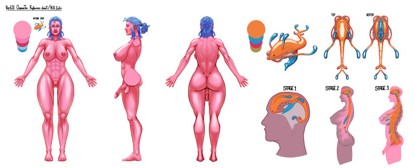 2020 absurd_res ass balls blue_eyes blue_hair breasts english_text front_view gastropod genitals goo_creature hair herm hi_res humanoid intersex model_sheet mollusk muscular muscular_intersex nipples nude parasite penis ponytail pussy rear_view side_view simple_background slug solo text vck x-ray