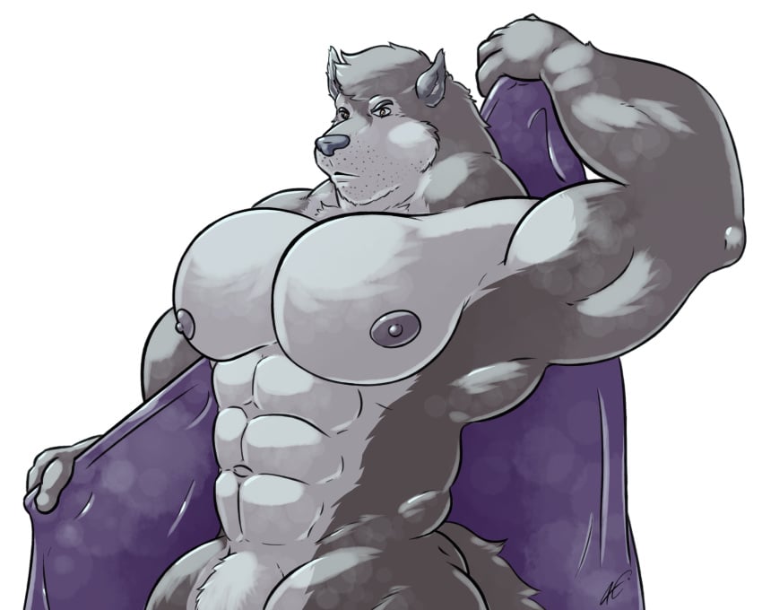 2019 5:4 abs anthony_caligula anthro barely_visible_genitalia barely_visible_penis biceps big_muscles canid canine canis digital_media_(artwork) freezybear92 fur furry genitals grey_body grey_fur hi_res holding_object holding_towel looking_at_viewer male male_only mammal multicolored_body multicolored_fur muscular muscular_anthro muscular_male navel nipples nude pecs penis solo solo_male stubble towel towel_only two_tone_body two_tone_fur white_body white_fur wolf zilch1998