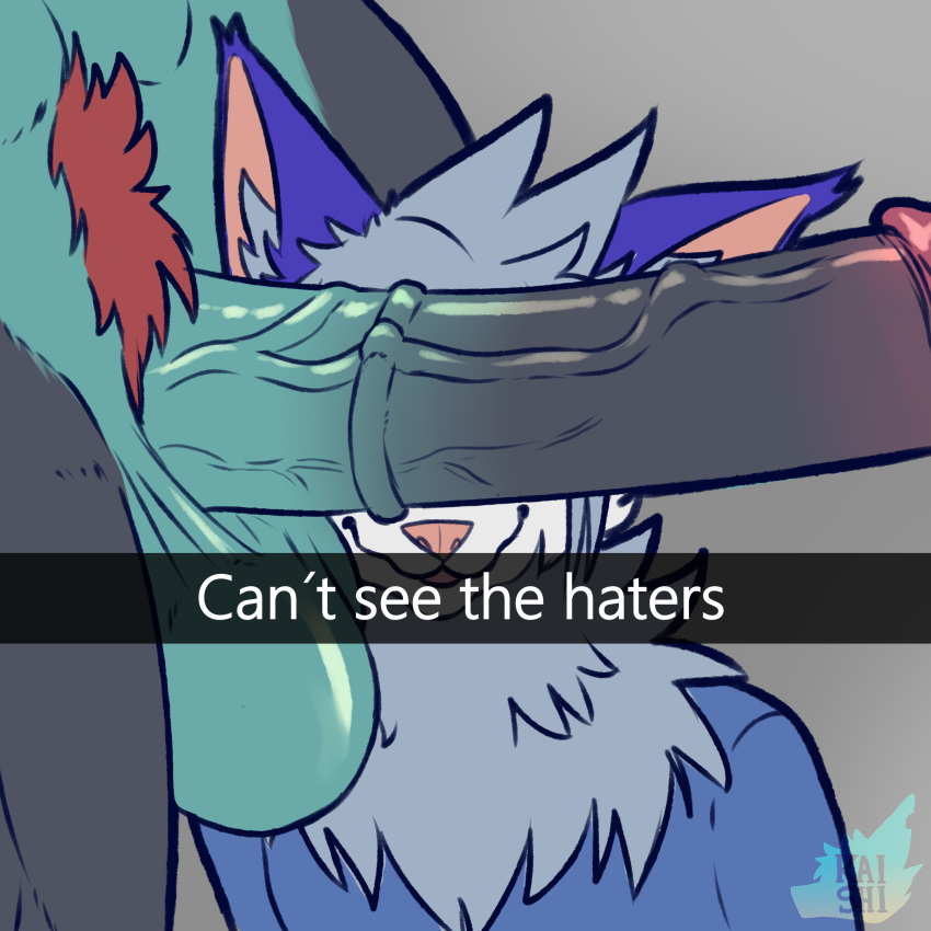 1:1 absurd_res anthro balls big_balls big_penis blue_body blue_fur can't_see_the_haters canid canine canis cant_see_the_haters daru_brek dragon duo erection eyes_covered fur genitals hi_res hybrid inner_ear_fluff kaishi_brek male male/male mammal medial_ring meme multicolored_body multicolored_fur open_mouth penis pink_nose pubes these_aren't_my_glasses tuft wolf