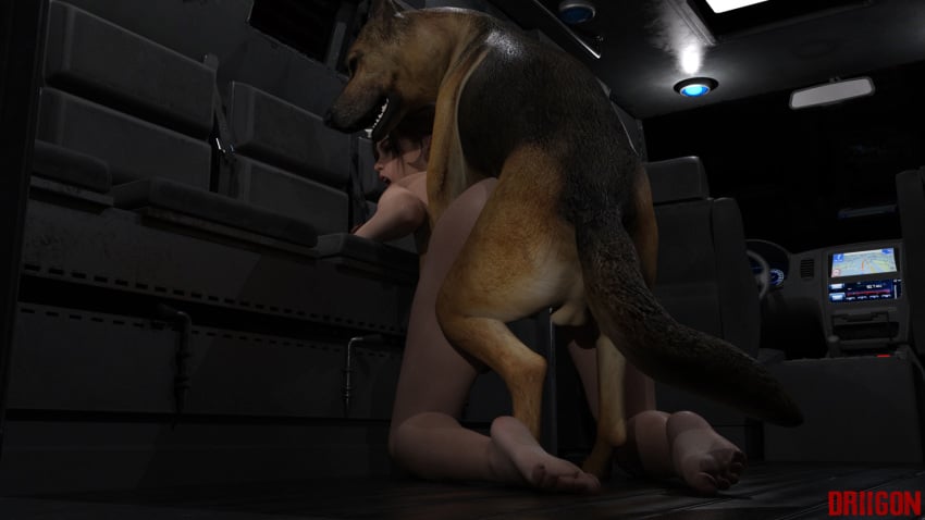 1animal 1girls 3d anal anal_sex bestiality canine capcom claire_redfield doggy_style driigon feet female german_shepherd knot knotting resident_evil resident_evil_2 sex zoophilia