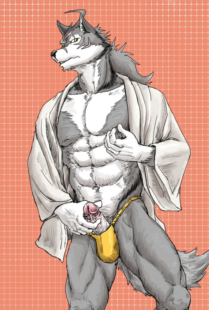 2020 5_fingers abs anthro asian_clothing canid canine canis clothed clothing countershading east_asian_clothing fingers fundoshi fur genitals glans grey_body grey_fur hi_res japanese_clothing keikogi male male_only mammal martial_arts_uniform masturbation morenatsu muscular muscular_thighs nipple_fetish nipple_pinch nipple_play nipples partially_clothed penis pinch pink_glans scar simple_background solo sportswear standing ten_kodori underwear video_games visual_novel white_countershading wolf yellow_eyes 馬賽克