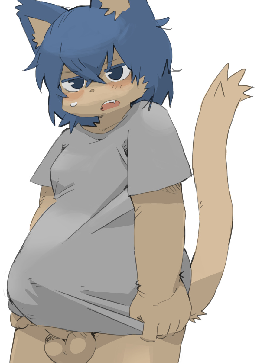 absurd_res anthro balls biped blue_eyes blue_hair blush bottomless bulge cheek_tuft clothed clothing domestic_cat erection erection_under_clothing facial_tuft fangs felid feline felis fur genitals grey_clothing grey_shirt grey_topwear hair hi_res kemono looking_at_viewer male male_only mammal open_mouth penis shirt short_hair si_ra_ta_ma3 simple_background solo standing tenting topwear tuft white_background yellow_body yellow_fur