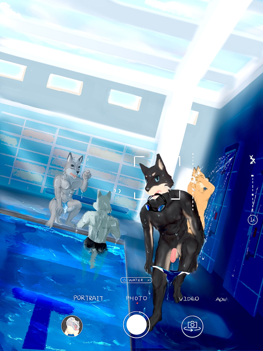 absurd_res anthro athletic camera_view canid canine canis clothing crouching dobermann domestic_dog english_text flaccid fox genitals group hi_res male mammal penis phone pinscher shower showering solo_focus speedo swimming_pool swimwear text undressing wet wolf wolftea42 young