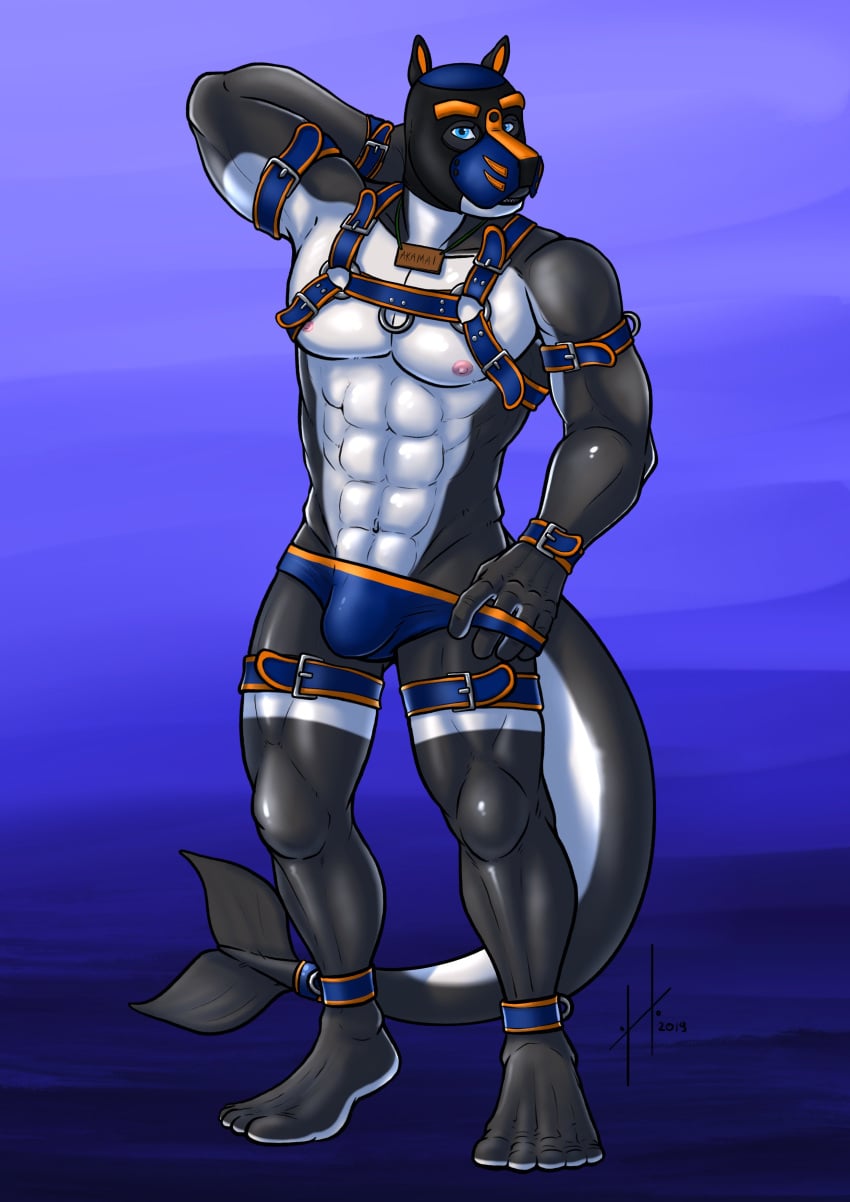 2019 Rule 34 Image