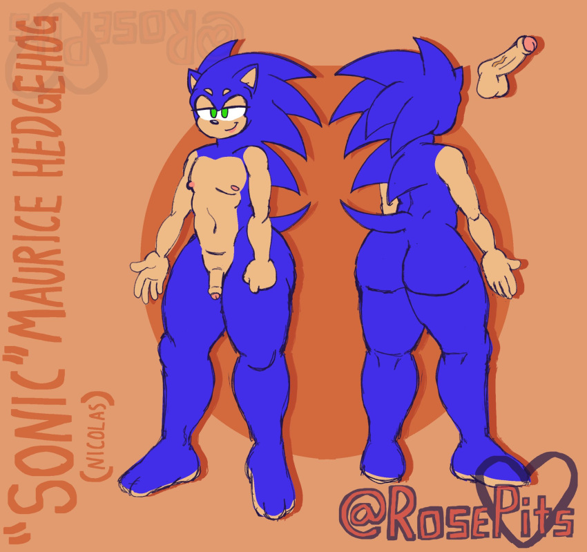 anthro ass balls big_butt blue_body blue_fur erection eulipotyphlan feet flaccid foreskin fur genitals green_eyes hedgehog hi_res male mammal model_sheet nude penis rosepits sega solo sonic_(series) sonic_the_hedgehog sonic_the_hedgehog_(series)