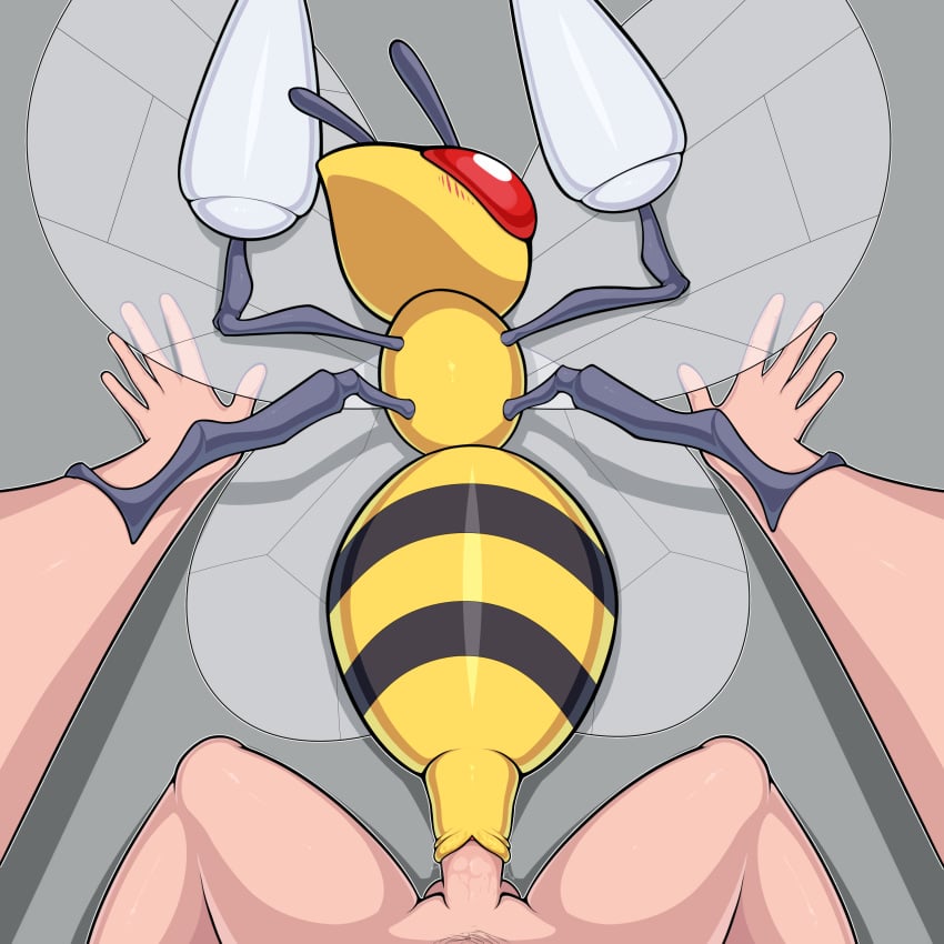 2d absurd_res ambiguous_gender ambiguous_penetrated animal_genitalia animal_pussy balls beedrill cloaca cloacal cloacal_penetration duo female feral feral_penetrated full_color genitals hi_res human human_on_feral human_penetrating humanoid insect insect_wings interspecies light-skinned_male male male/ambiguous male_penetrating male_penetrating_ambiguous mammal nintendo penetration penis pokémon_(species) pokemon pokephilia red_eyes video_games wings zeamaeri zoophilia