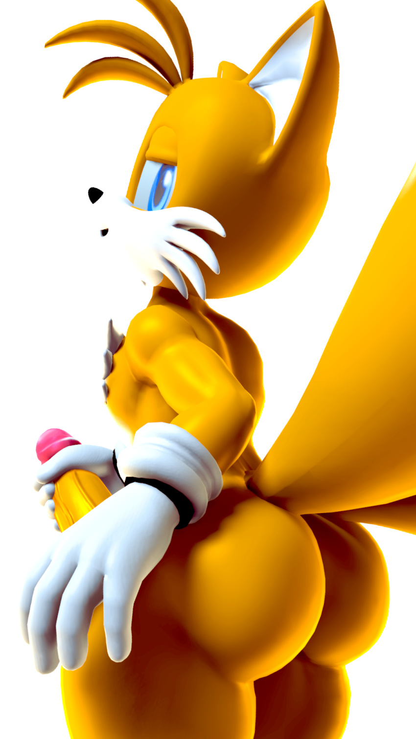 3d 3d_(artwork) anthro ass big_ass big_butt big_penis blue_eyes fox furry gay gloves holding_penis looking_at_viewer looking_back male male_only masturbation penile_masturbation penis solo sonic_(series) source_filmmaker tails terezifaps white_fur white_gloves yellow_fur