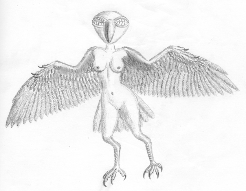 1girls absurd_res animal_humanoid anthro avian avian_humanoid beak bird bird_feet bird_humanoid breasts claws ebrithilbowser eye_mouth feathered_arms feathered_wings feathers female full_body hi_res humanoid monochrome mouth_eye navel nipples nude simple_background solo tail_feathers teeth uncensored white_background wide_hips winged_arms wings