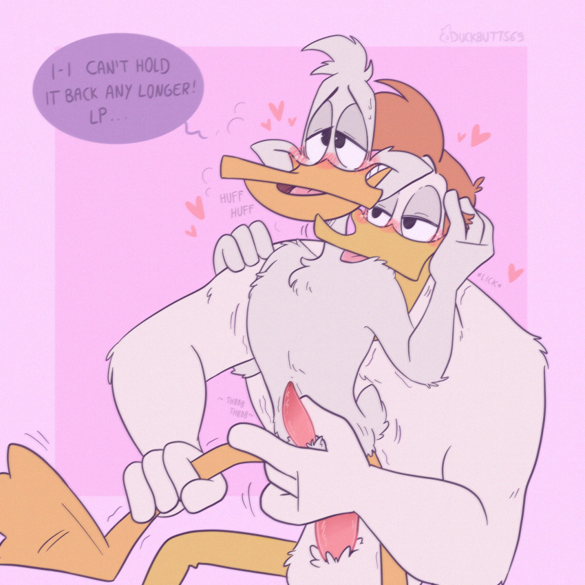 1:1 anal anal_sex anas anatid anseriform anthro avian bird bodily_fluids body_hair chest_hair couple_(disambiguation) dabbling_duck darkwing_duck disney drake_mallard duck duckbutts ducktales_(2017) duo face_squish gay genital_fluids genitals handjob handjob_while_penetrating hi_res launchpad_mcquack male male/male male_only mallard nude on penetration penile penis precum sex squish yaoi