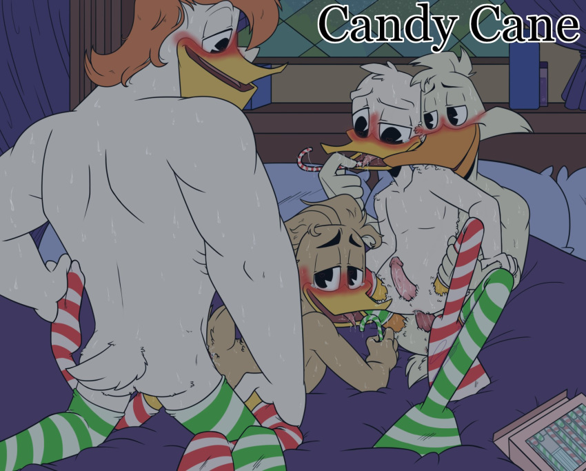 4boys all_fours anal anal_penetration anal_sex anas anatid anseriform anthro avian bedroom_setting bird bite blush candy_cane christmas clothing cum_in_ass cum_while_penetrated dabbling_duck darkwing_duck disney doggy_style donald_duck duck ducktales_(2017) erection fenton_crackshell finger_in_another's_mouth footwear foursome from_behind_position gay genitals group group_sex hands_behind_head hi_res holidays kissing launchpad_mcquack legs_held_open male male/male male_only male_penetrated male_penetrating male_penetrating_male mallard neck_bite open_mouth orgy penetration penis sex sitting_on_penis socks spread_legs spreading sucking tejedora7 yaoi