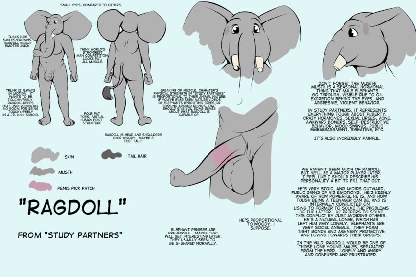 2017 3:2 anthro balls character_profile character_sheet elephant elephantid english_text genitals male male_only mammal model_sheet penis prehensile_penis proboscidean ragdoll_(study_partners) study_partners text thunderouserections