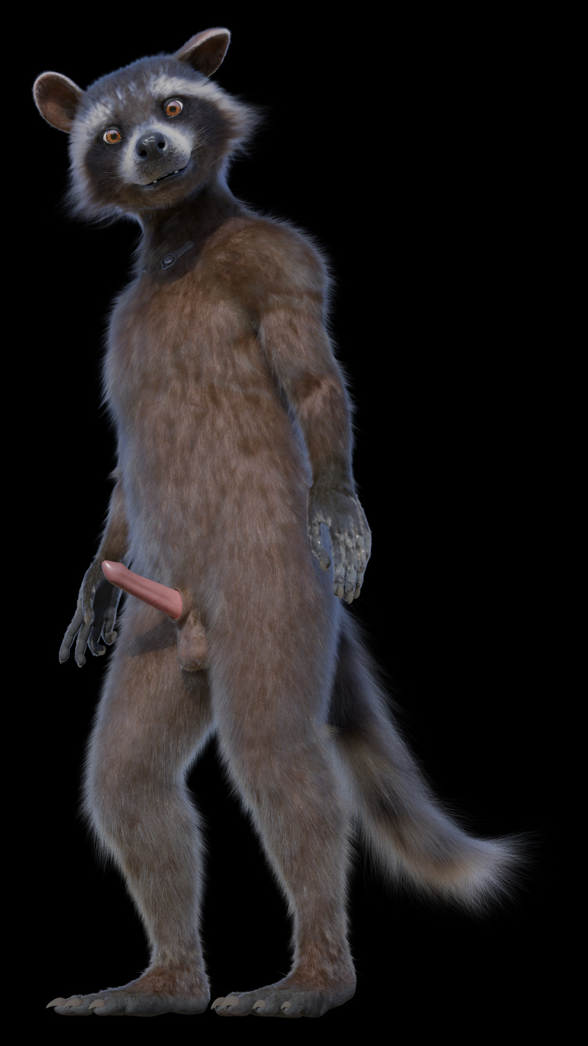 1boy 3d absurd_res anthro balls black_background brown_body brown_fur claws disney english_text erection facial_markings front_view fur genitals guardians_of_the_galaxy head_markings hi_res looking_at_viewer male male/male male_only mammal markings marvel mask_(marking) nude penis procyonid raccoon rocket_raccoon rockyrcoon simple_background solo standing text white_muzzle