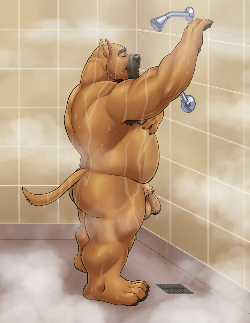 absurd_res adios anthro armpit_hair ass back_muscles balls bathing belly biceps big_balls big_butt black_muzzle black_nose body_hair brown_body brown_fur canid canine canis closed_eyes domestic_dog eyebrows foreskin fur genitals grate hi_res male male_only mammal musclegut muscular muscular_anthro muscular_male nude overweight overweight_anthro overweight_male penis pit_bull pj_(pittiepj) pubes shower showering slightly_chubby smile solo steam stocky tan_body tan_fur thick_neck thick_penis thick_thighs uncut wet wet_body wet_fur