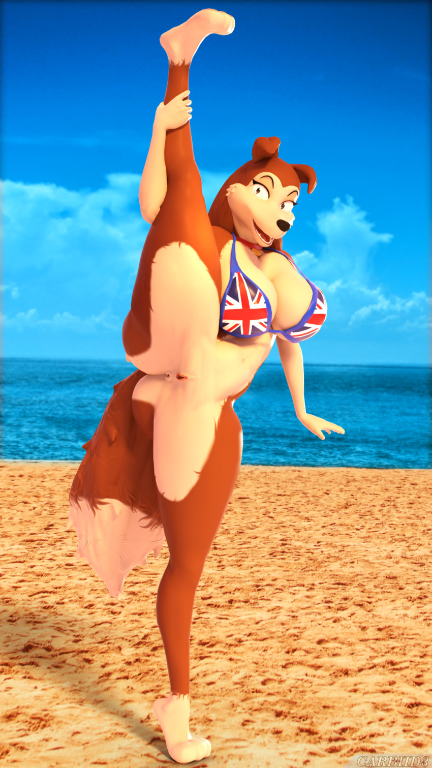 3_toes 3d 9:16 anthro anus beach big_breasts bikini bikini_top bottomless bra breasts brown_eyes canid canine canis carbiid3 cheek_tuft clothed clothing collar colleen collie dipstick_tail domestic_dog exhibitionism facial_tuft feet female flag_bikini flexible fur furry furry_only genitals gloves_(marking) hair herding_dog hi_res holding_leg leg_markings mammal markings multicolored_body multicolored_fur multicolored_tail navel on_one_leg one_leg_up open_mouth open_smile partially_clothed pastoral_dog pussy raised_leg road_rovers seaside sheepdog smile socks_(marking) solo splits spread_legs spreading standing swimwear tail tiptoes toes topwear tuft two_tone_body two_tone_fur union_jack union_jack_bikini vertical_splits wide_hips