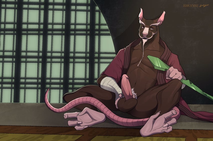 1boy anthro erection hamato_yoshi hamato_yoshi_(tmnt_2012) idrysse3 male male_only master_splinter master_splinter_(tmnt_2012) penis rat rodent solo teenage_mutant_ninja_turtles