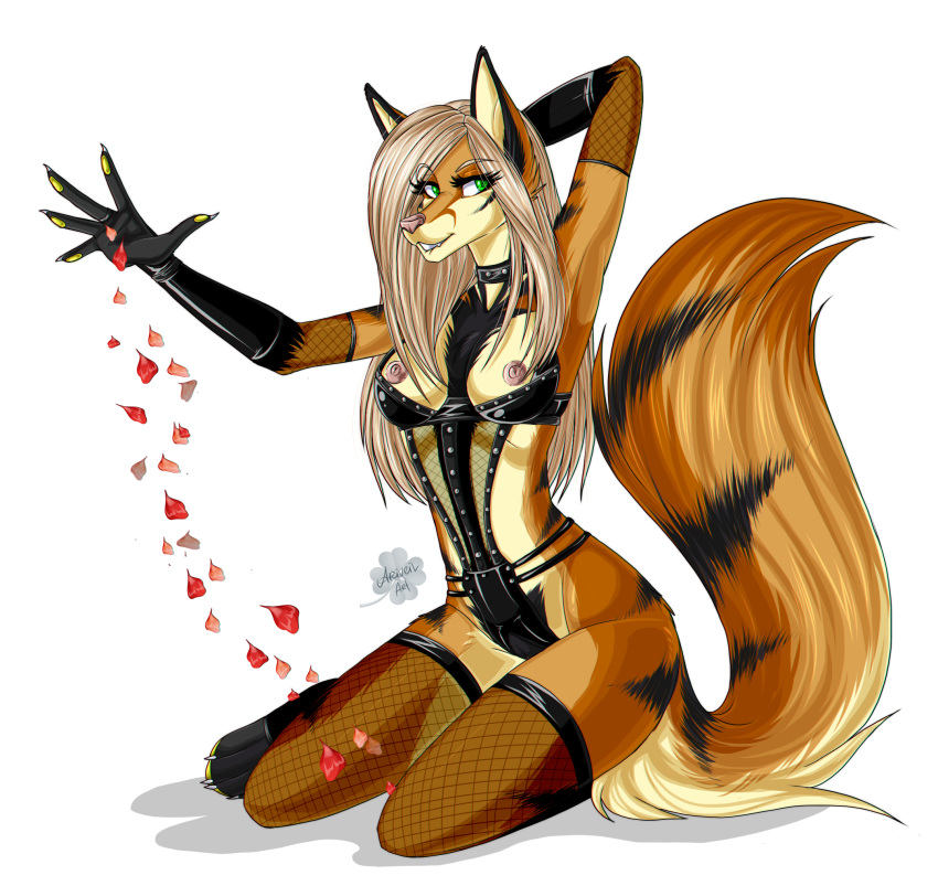 alpha_channel anthro ariveil black_body black_fur blonde_hair breasts brown_body brown_fur canid canine claws clothed clothing crotchless_clothing fangs female fluffy fluffy_tail fox fur green_eyes hair hi_res kneeling mammal multicolored_body multicolored_fur nipples open_mouth open_smile partially_clothed petals rubber smile solo teeth