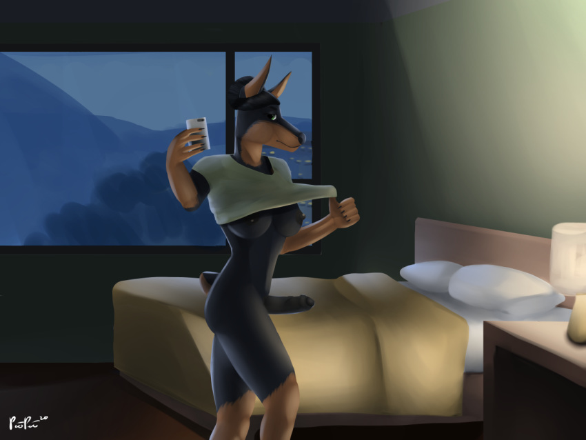 1futa 4:3 anthro bed bedroom bottomless canid canine canis cellphone clothed clothing crimsoncolored dobermann domestic_dog erection furniture furry futanari genitals gynomorph hair hair_bun ines inside intersex mammal night nipples penis phone pinscher pulling_shirt selfie solo solo_futa window