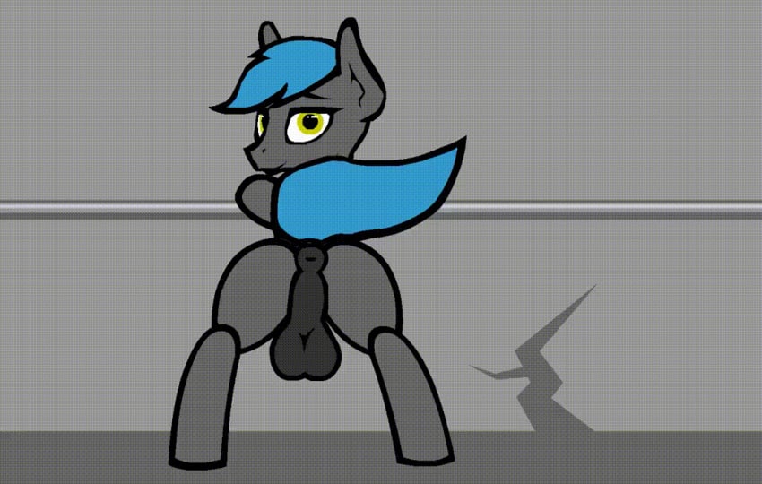 animated animated_gif anus ass_shake back_view balls earth_pony feral horse looking_at_viewer looking_back male male_oc male_only my_little_pony oc pony solo_male solo_oc stallion tarantuloo tenser_(oc)