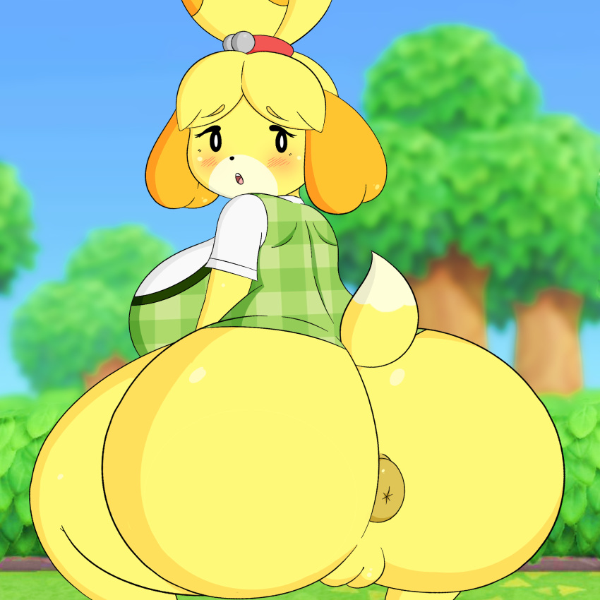 1girls 2020 animal_crossing animal_crossing_new_horizons animal_crossing_new_leaf anthro anus anus_juice ass ass_juice big_ass big_breasts big_butt big_girl blush bottomless breasts cameltoe canid canine canis chubby chubby_female dog_girl dog_tail donut_anus fat_ass female fur furry furry_ass furry_breasts furry_ears furry_only furry_tail hi_res isabelle_(animal_crossing) kabokondo90 looking_at_viewer looking_back nintendo partially_clothed pervert plump plump_ass plump_camel_toe plump_labia plump_vulva pussy rear_view source_request tail thick_ass thick_legs thick_lips thick_thighs thighs topwear wide_hips yellow_fur