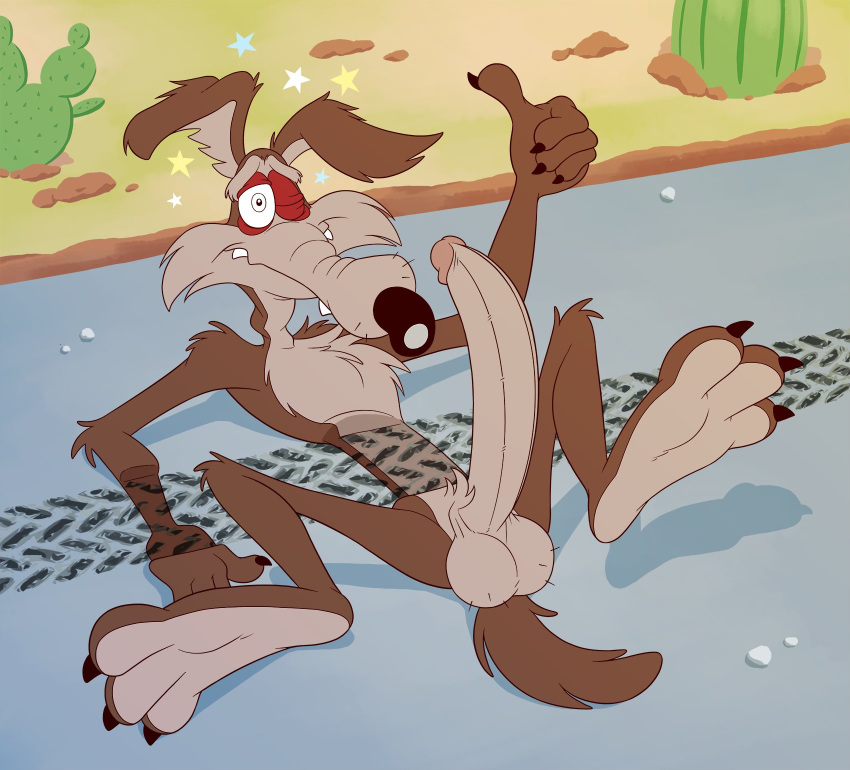 anti_dev balls cactus canid canine canis cartoon_physics coyote desert feet genitals gesture hi_res humanoid_genitalia humanoid_penis long_penis looney_tunes male male_only mammal penis road run_over smooth_fur solo star thumbs_up tire_marks warner_brothers wile_e._coyote