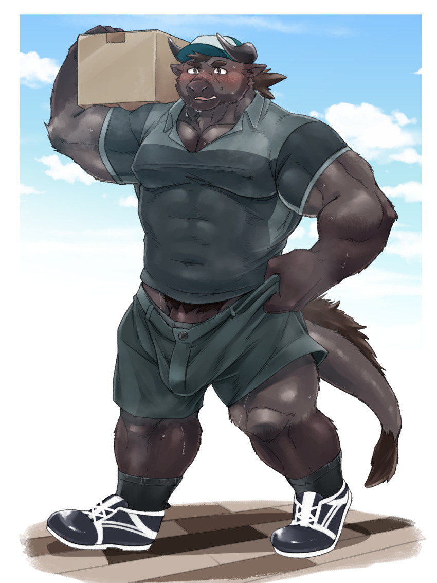 2020 3:4 anthro barazoku blush bodily_fluids bottomwear box brown_body brown_fur bulge clothing fur genitals hat headgear headwear hi_res humanoid_hands kemono kumao male male_only mammal muscular muscular_anthro muscular_male outside penis shirt shorts solo sweat topwear