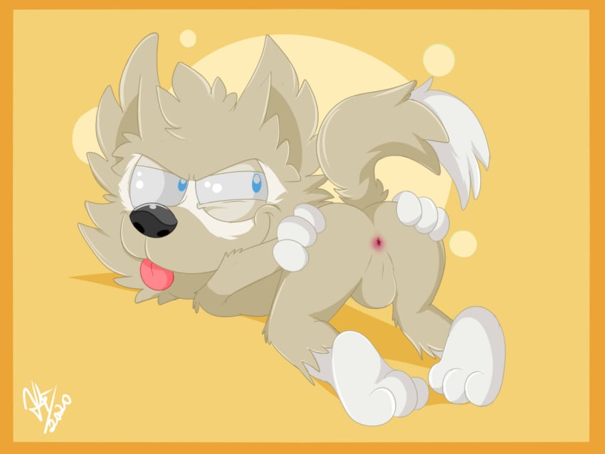 4:3 anthro anus balls canid canine canis fifa genitals greenwhiteroom male male_only mammal mascot nude spread_anus spreading tongue tongue_out wolf zabivaka