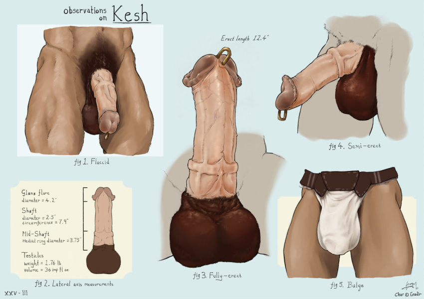 anatomy animal_genitalia animal_penis balls big_balls big_penis brown_body bulge english_text equid equine equine_penis figurine genital_piercing genitals glans_piercing horse horseballs horsecock humanoid humanoid_penis hybrid_penis kesh kesh_(enadir) leash male male_only mammal model_sheet penis penis_piercing piercing solo text trogan vein veiny_penis