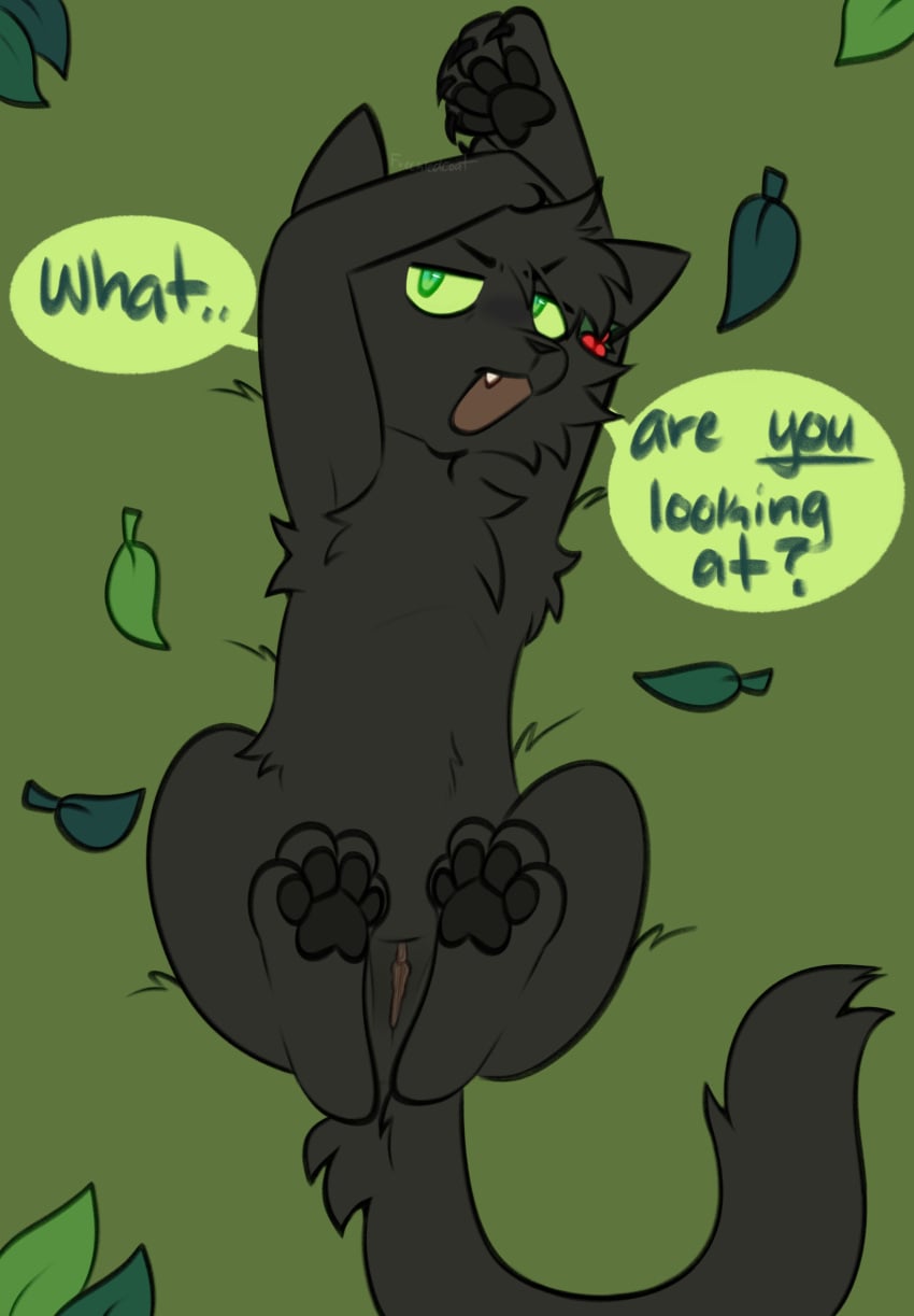 Hollyleaf (Warriors) Rule 34 Image