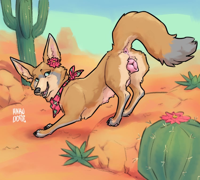 animal_genitalia animal_pussy anus ass_up cactus canid canine canine_genitalia canine_pussy desert dipstick_tail female fennec_fox feral flower_accessory fox fur genitals green_eyes grey_body grey_fur hakudoge hi_res kerchief mammal markings neckerchief neckwear on_rock pink_pussy plant presenting presenting_pussy pussy quadruped raised_tail rock sierra_(heliofox) solo tail tail_markings tan_body tan_fur teats true_fox