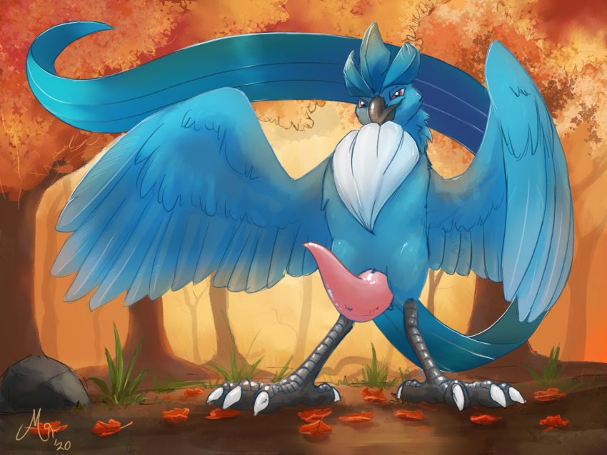 2020 4:3 animal_genitalia animal_penis articuno autumn avian beak big_penis bird black_beak blue_body blue_feathers cetacean_penis erection feather_tuft feathers feral forest genitals grass hi_res leaf legendary_pokemon looking_at_viewer magpi male male_only nature nintendo outside penis pokémon_(species) pokemon pokemon_(species) presenting presenting_penis red_eyes rock signature solo solo_male standing talons tapering_penis tree tuft video_games