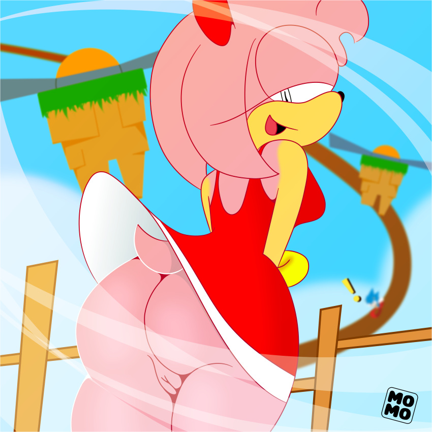 abstrakt amy_rose ass butt dress_lift female furry hedgehog hedgehog_girl mobian_(species) no_panties pink_tail pussy sega solo sonic_(series) vagina wind wind_lift windmill