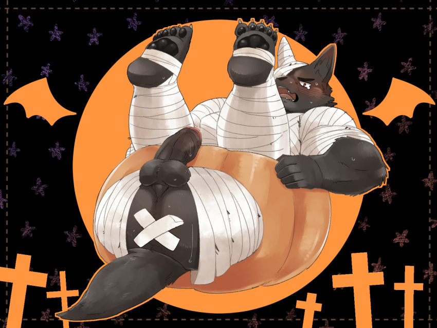 2020 anthro ass balls barazoku black_body black_fur blush canid canine canis erection fur genitals halloween hi_res holidays kemono kumao male male_only mammal mummy_costume penis solo wolf