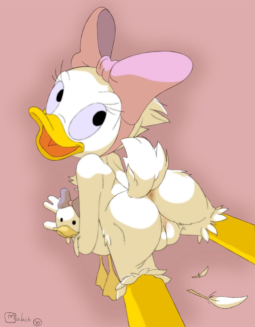 2010 anatid anseriform anthro anus ass avian bird bow_tie ddlg disney doll duck ducktales ducktales_(1987) feathers female genitals hi_res malachiexe presenting presenting_anus presenting_hindquarters presenting_pussy pussy solo webby_vanderquack young