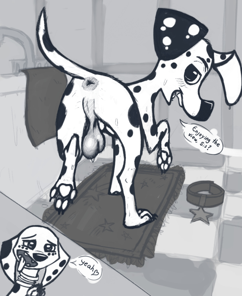 101_dalmatian_street 101_dalmatians anthro anus balls bathroom black_and_white canid canine canis dalmatian disney dolly_(101_dalmatians) domestic_dog duo dylan_(101_dalmatians) female feral hi_res male mammal monochrome straight testicles thatcatlie