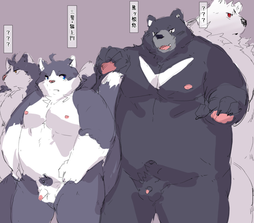 2020 anthro balls belly black_body black_fur domestic_cat duo felid feline felis flaccid fur genitals group japanese_text kemono male male_only mammal nipples overweight overweight_male penis text ursid white_body white_fur yuuya333