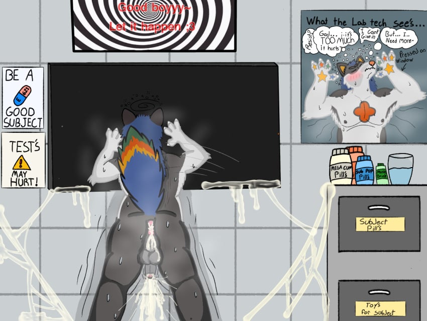 4:3 Rule 34 Image