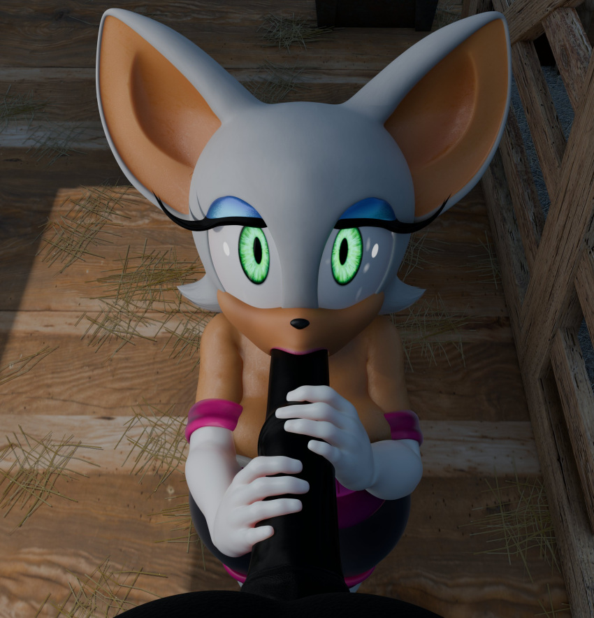Rouge The Bat (Sega) Rule 34 Image
